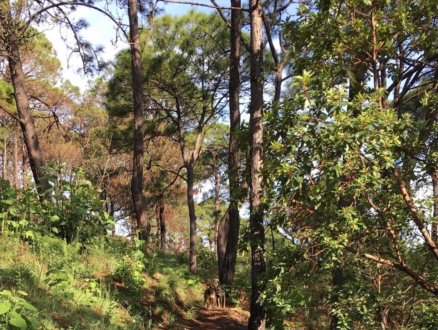 ואלה דה בראבו Mi Casa De Valle מראה חיצוני תמונה